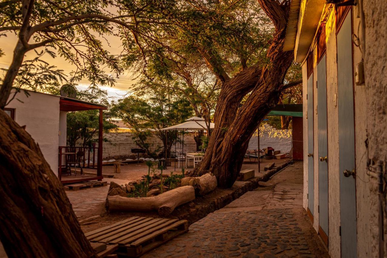 La Casa Del Sol Naciente Hotell San Pedro de Atacama Exteriör bild